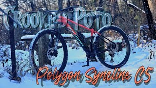 First Ride and Impressions on the Polygon Syncline C5 [upl. by Marina]