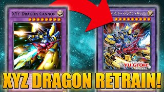 NEW XYZ DRAGON RETRAIN XYZ DRAGON AND ABC DRAGON SUPPORT  YuGiOh [upl. by Youngran]