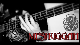 MESHUGGAH  COMBUSTION bass cover [upl. by Magan203]