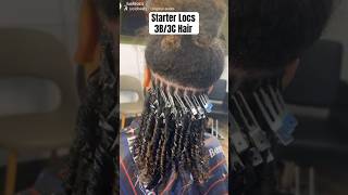 Starter Locs on 3B3C Hair 🙌🏽💫💕👑 starterlocs locs love hair journey [upl. by Ignazio]