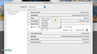 Setting image size while exporting in Lightroom Classic [upl. by Ecarg]