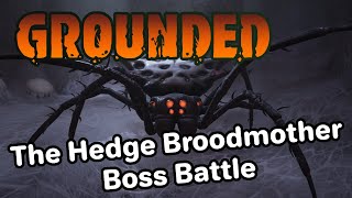 Grounded The Hedge Broodmother Boss Battle [upl. by Espy]