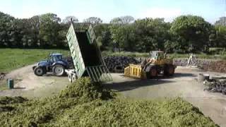 Tim Sheehans Volvo L120 and Cantys T6080 cutting silagein Kinsale [upl. by Nhar]