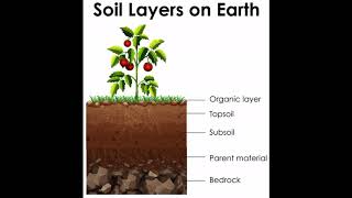 Lesson  11 Science Soil  Layers Of Soil   Part  2 [upl. by Yenor]