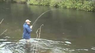 How to fight a Chinook salmon on the fly rod [upl. by Aifas]