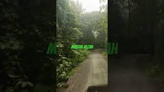 Ajmal Raza Qadri  bayan  subscriber  viral  ytshort [upl. by Nuawtna]