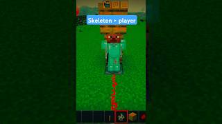 Skeleton  Player ☠️☠️ minecraft gaming shortfeed shorts [upl. by Ferrigno857]