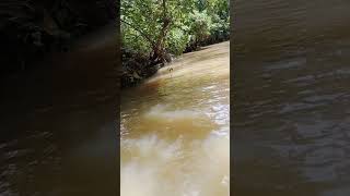 Poovar Island Boating  Backwater Kerala [upl. by Qooraf648]