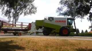 Grassaat dreschen Claas Lexion 430 [upl. by Reynolds]