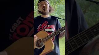 Learn to Fly Foo Fighters Acoustic Cover [upl. by Corrie]