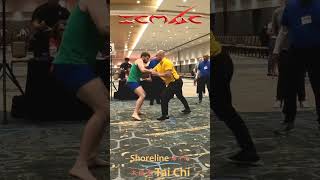 Real Tai Chi Master vs MMA Fighter Push Hands taijiquan taichichuan martialarts [upl. by Thomey130]