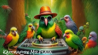 Katchafire  Mr Flava [upl. by Eisdnil762]