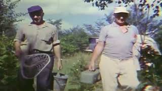 Fishing for Bass at Emils Lake Matawatchan 1960s [upl. by Nagiam]