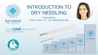 Introduction to Dry Needling  Full Video [upl. by Akitahs139]