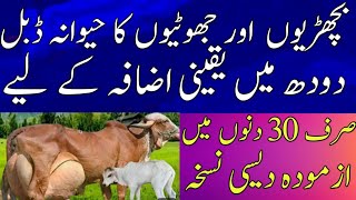 cow and buffalo ka hiwana brahany ka قدرتی how to increase milk and udder sise in heifers [upl. by Odracir]