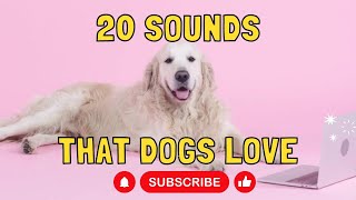 20 Sounds that Dogs Love [upl. by Eneluqcaj]