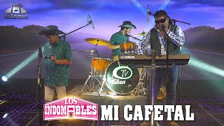 Los Indomables  Mi Cafetal Official VIdeo [upl. by Aivun]