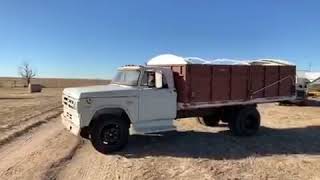 BigIron 1972 Dodge D600 Truck [upl. by Mandal]