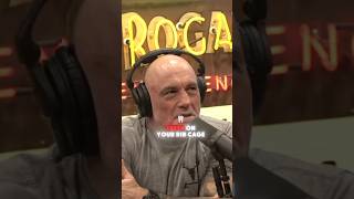 JRE  Shark Attack jre podcast jreclips joerogan [upl. by Mahtal]