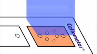 How Dualfluorescent AOEB Assays Work for Cell Concentration and Viability [upl. by Mauretta]