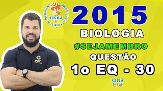 UERJ 2015  1o EQ  Questão 30  No cladograma está representado o grau de parentesco entre diferent [upl. by Arim144]