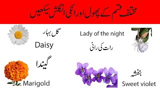 Flowers name in urdu and english with pictureflowers name with spellingFlowers vocabulary [upl. by Aillil574]