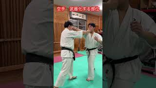 【武道・空手】空手で武器化する身体の部位 上半身編！！ aikido ＃karate martial 武道 ＃空手＃合気道＃筋トレselfdefens [upl. by Yras]