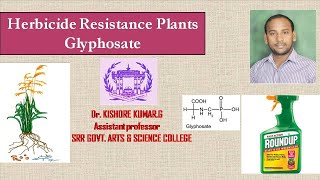 GLYPHOSATE Herbicide [upl. by Asilegna467]