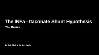 The IFNa  Itaconate Shunt Hypothesis The Basics Low Stimulus [upl. by Anak443]