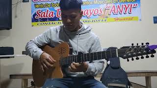 Cover requinto de Pumita Cazador tema Vizcachita [upl. by Lentha]