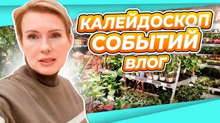 КАЛЕЙДОСКОП СОБЫТИЙ  ШИПР  НОВОЕ КИНО  ДВА ЗАВТРАКА И БАКЛАЖАНЫ [upl. by Imuya929]