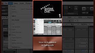 How to Autosave in Cakewalk in 3 easy steps [upl. by Briney]