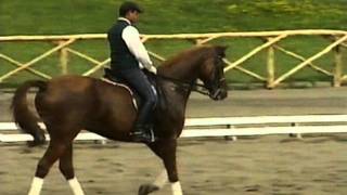 MANUALE DI EQUITAZIONE 7 di 7 Il Dressage [upl. by Richy]