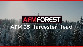 Small Forest HARVERTER  Forest Thinning Equipment ☑️ AFM 35 [upl. by Hsina]