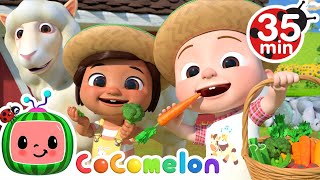 Yes Yes Vegetables On The Farm  More Nursery Rhymes amp Kids Songs  CoComelon [upl. by Noraa]