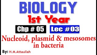 Nucleoid plasmid and mesosomes in bacteriaChapter 5 smart syllabus  ALP1st year Biology Lec3 [upl. by Akerahs]