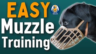 Dog Muzzles Everything You Need To Know And How To Muzzle Train Dogs 153 podcast [upl. by Mullen]