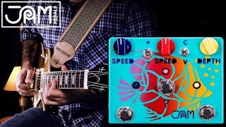 Jam Pedals RIPPLY FALL  Demo by Alberto Barrero [upl. by Etac]