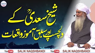 Sheik Saadi Aur Akabar ky Sabaq Amooz Waqiaat  Peer Zulfiqar Ahmad Naqshbandi DB [upl. by Esiuole]