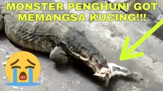 VIRAL  Monster Biawak Penghuni Got Makan Kucing SADIS [upl. by Idnahc338]