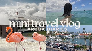 Aruba Travel Vlog ✈️ birthday trip🎂 Flamingo🦩Island vacation diaries romanticizing life silent [upl. by Yevette498]