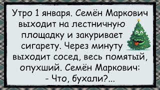 🐸 Как сосед в новогоднее утро Обознался ✅анекдоты ✅юмор ✅смех [upl. by Anairotciv]