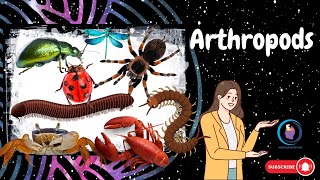 Arthropods [upl. by Tehcac]