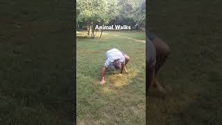 Animal Walks [upl. by Anneirda]