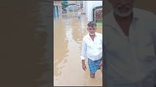 Jamalpur Darbhanga Bihar ke Bij Gaon Mein Sailab Ka Pani [upl. by Aylat]