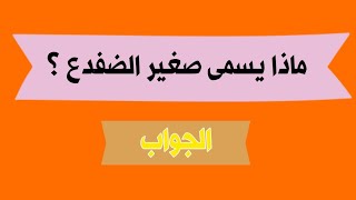 ماذا يسمى صغير الضفدع ؟ ما هو اسم صغير الضفدع ؟ أسئلة عامة  أسئلة و أجوبة  جديد 2022 [upl. by Helaine]