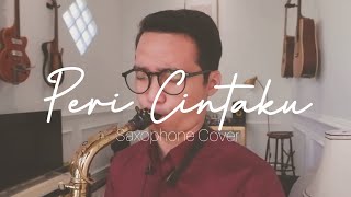 Ziva Magnolya  Peri Cintaku Saxophone Cover By Dori Wirawan [upl. by Lap]