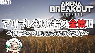 【Arena Breakout Infinite】参加◎！ 初心者が金策してみる【ワルダンディChainon】 [upl. by Faythe]