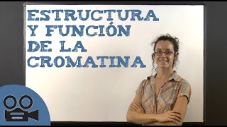 Estructura y función de la cromatina [upl. by Irved943]