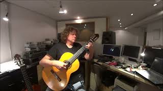 Vals Op 8 No4 by Agustin Barrios Christoph Kirschbaum guitar [upl. by Mohl]